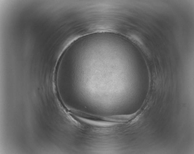 X0000067891182200604131320