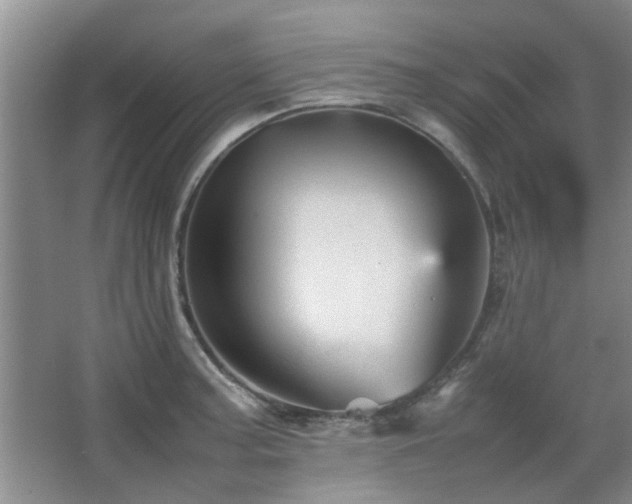 X0000067891187200604131320