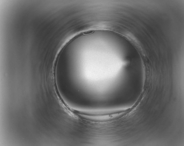 X0000067891192200604131320