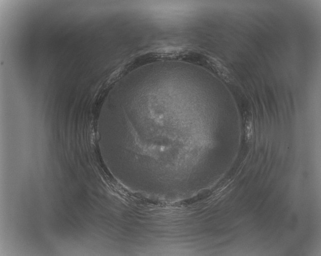 X0000067891204200604131319