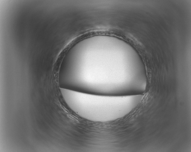X0000067891208200604131319