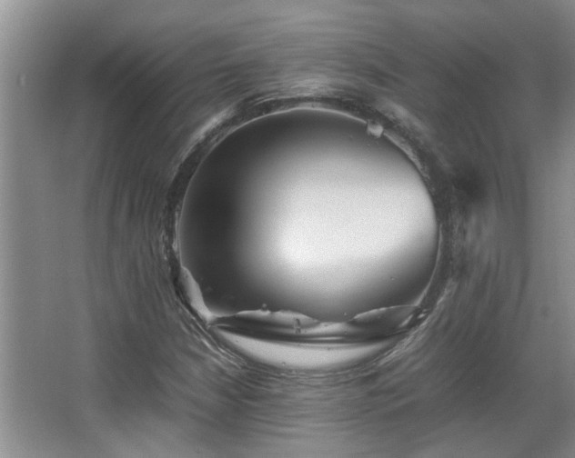 X0000067891210200604131319