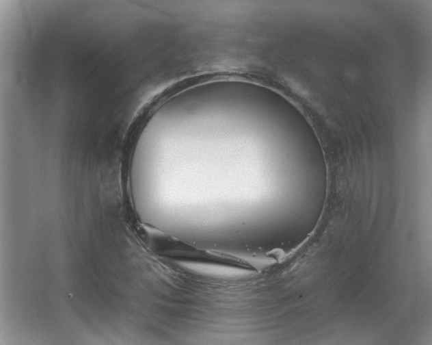 X0000067891214200604131320