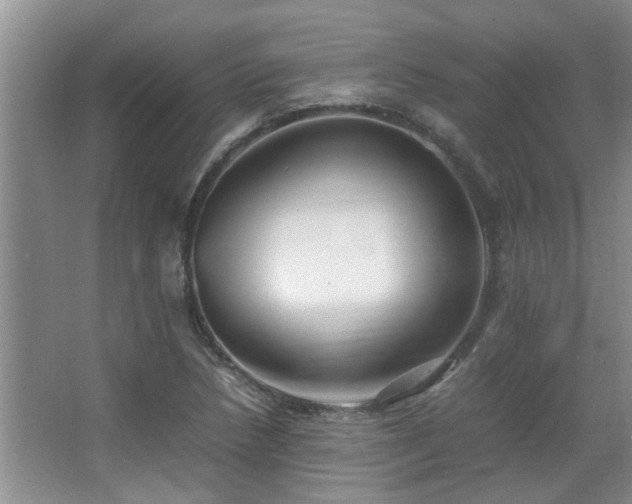 X0000067891218200604131320