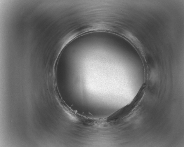 X0000067891242200604131320
