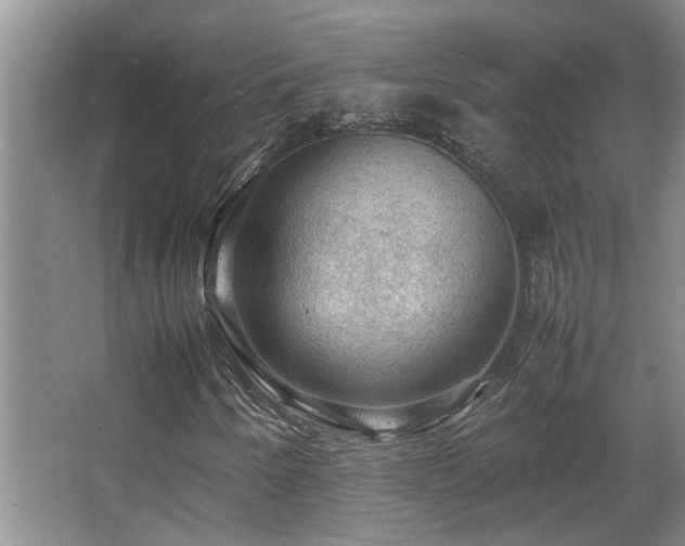 X0000067891250200604131319
