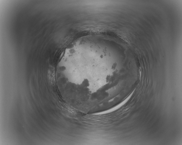 X0000067891251200604131319