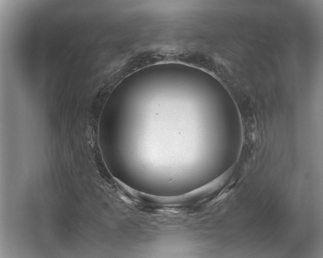 X0000067891253200604131319