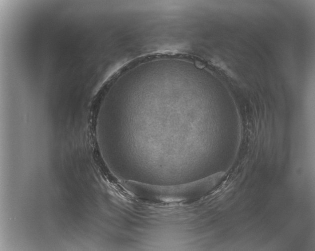 X0000067891256200604131319