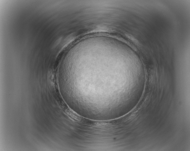 X0000067891258200604131319