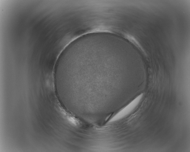 X0000067891268200604131319