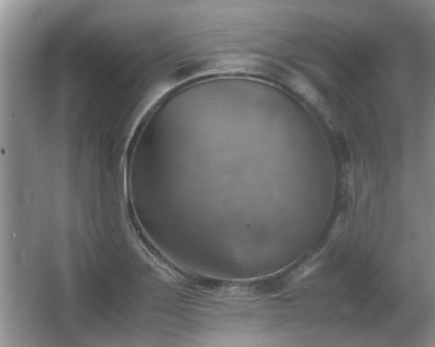 X0000067891275200604131319
