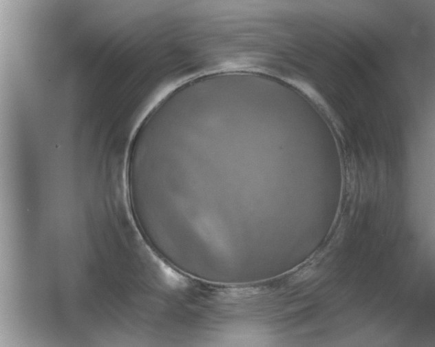 X0000067891294200604131319