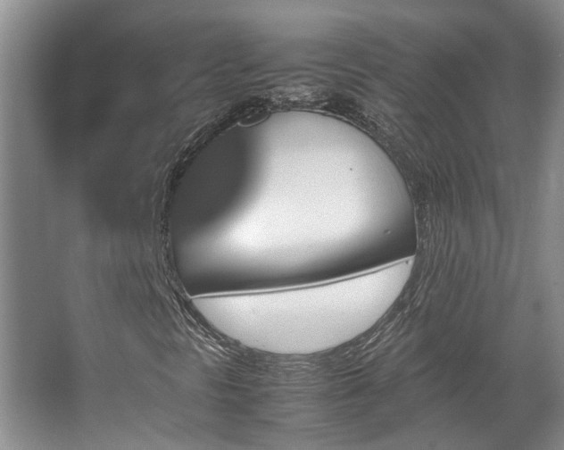 X0000067891297200604131318