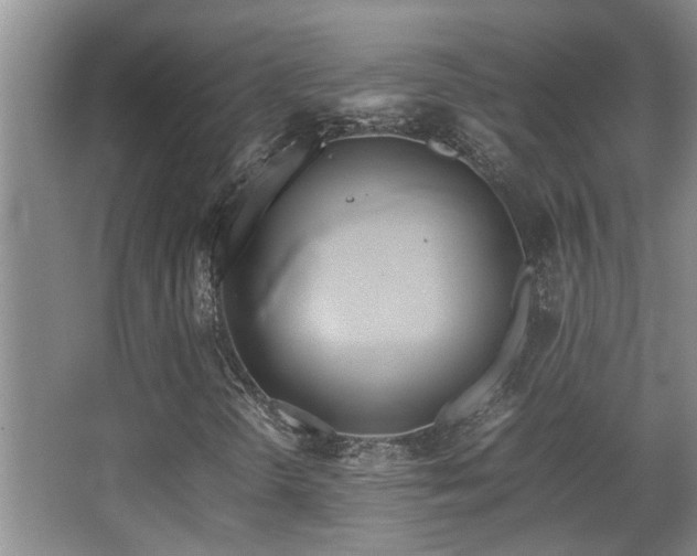 X0000067891298200604131318