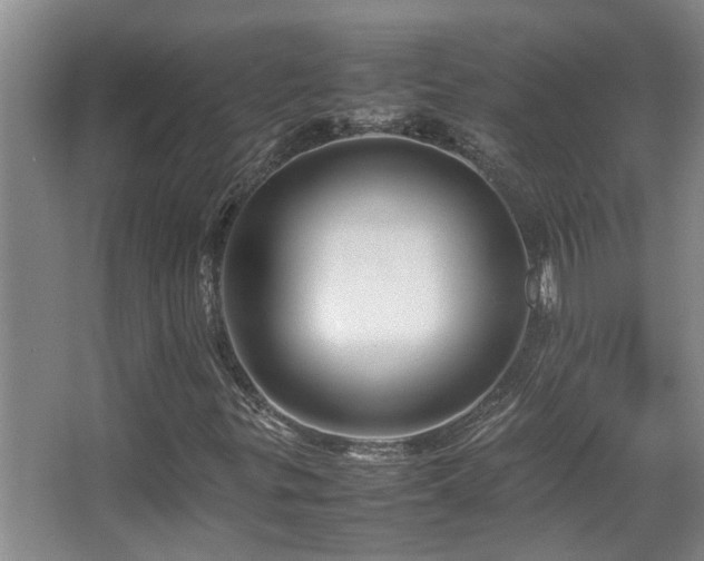 X0000067891299200604131318