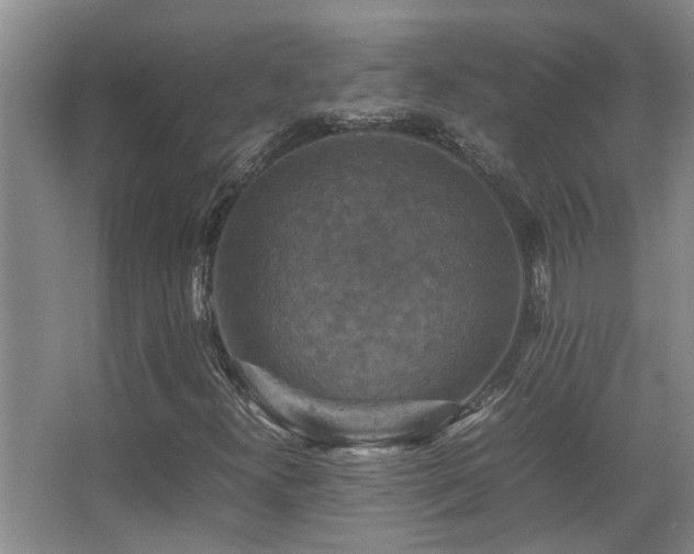 X0000067891300200604131318