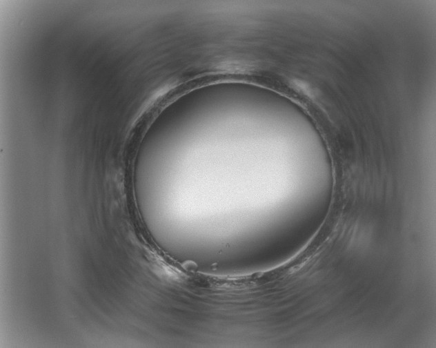 X0000067891307200604131318