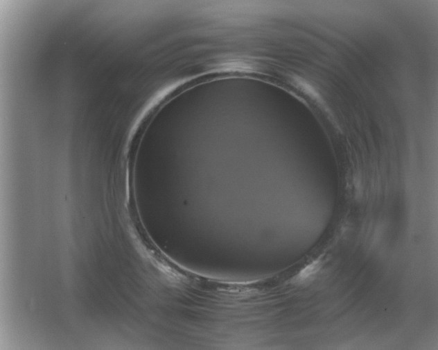 X0000067891323200604131318