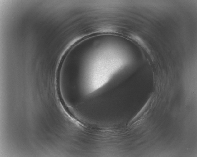 X0000067891331200604131318