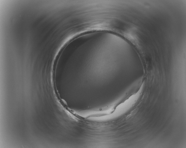 X0000067891334200604131318