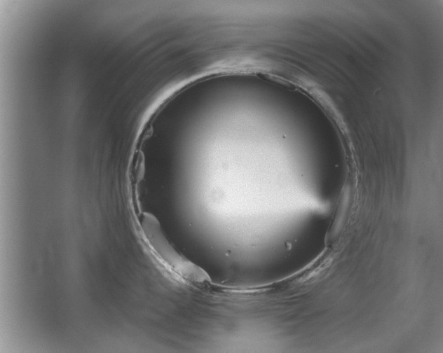 X0000067891344200604131318