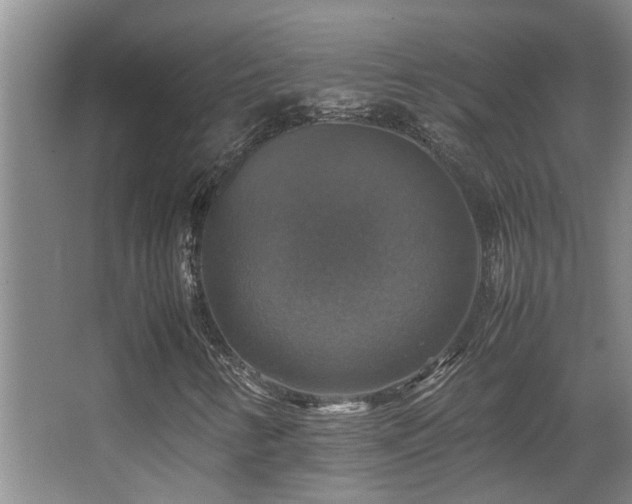 X0000067891346200604131318
