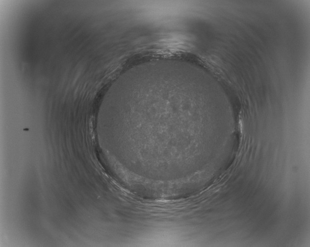 X0000067891347200604131318
