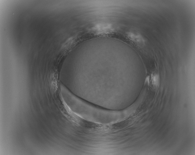 X0000067891348200604131318