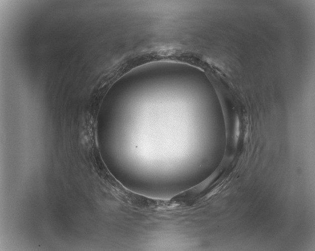 X0000067891349200604131318