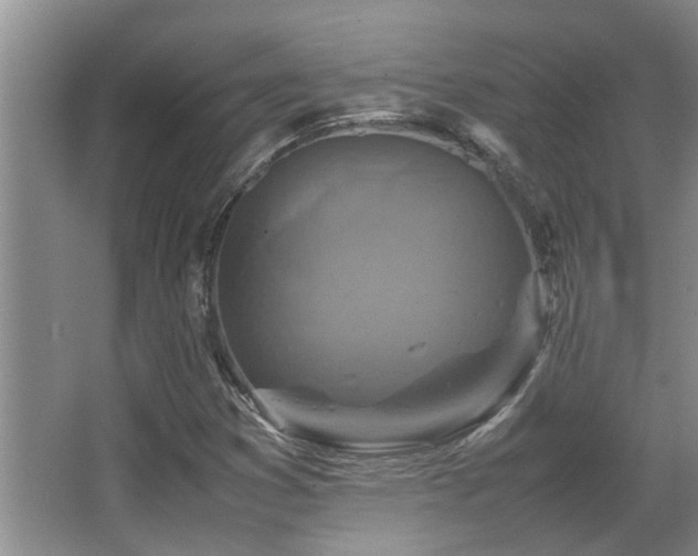 X0000067891353200604131318