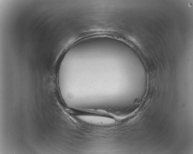 X0000067891357200604131317