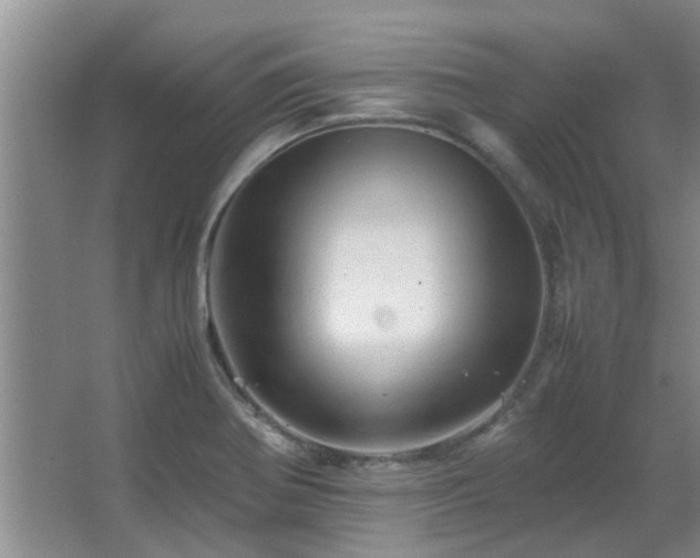 X0000067891370200604131317