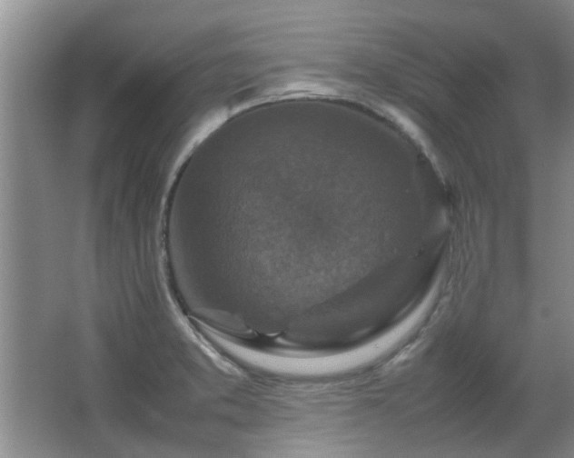 X0000067891373200604131317