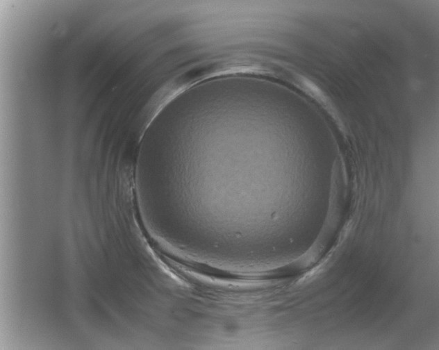X0000067891377200604131317