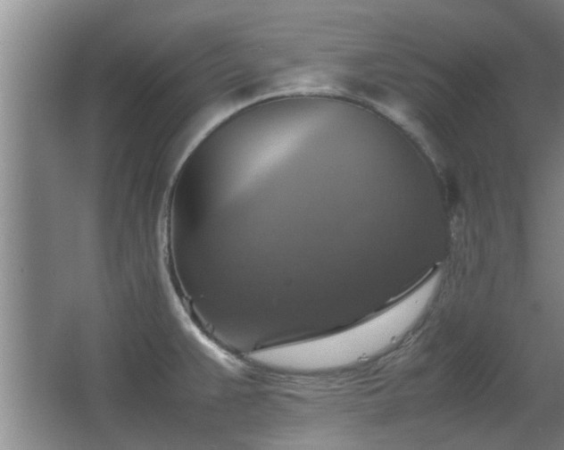 X0000067891383200604131317