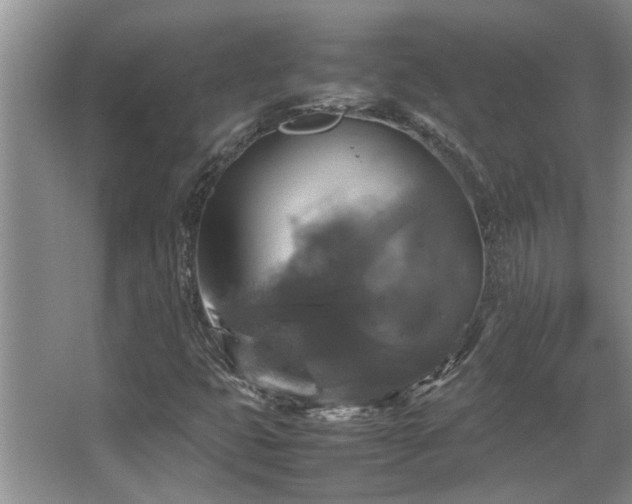 X0000067891399200604131316