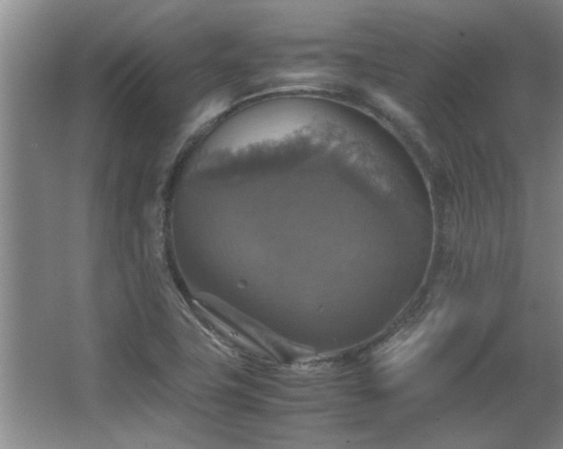 X0000067891411200604131316