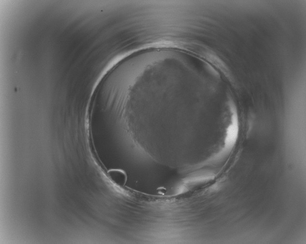 X0000067891428200604131317