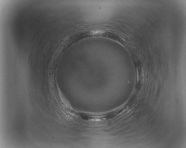 X0000067891441200604131316