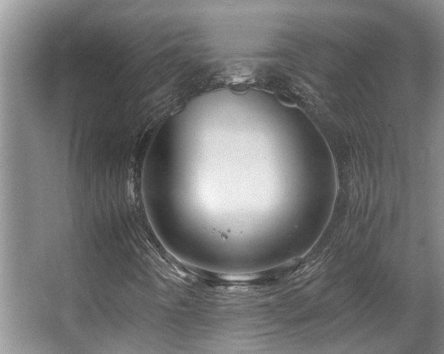 X0000067891442200604131316