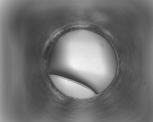 X0000067891448200604131316