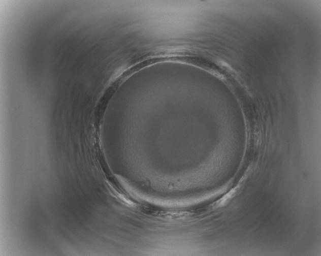 X0000067891449200604131316
