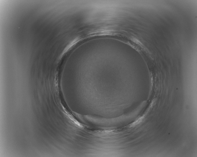 X0000067891450200604131316