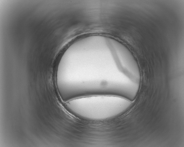 X0000067891452200604131316