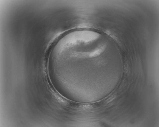 X0000067891454200604131316