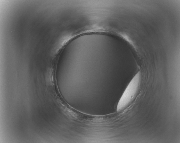 X0000067891455200604131316