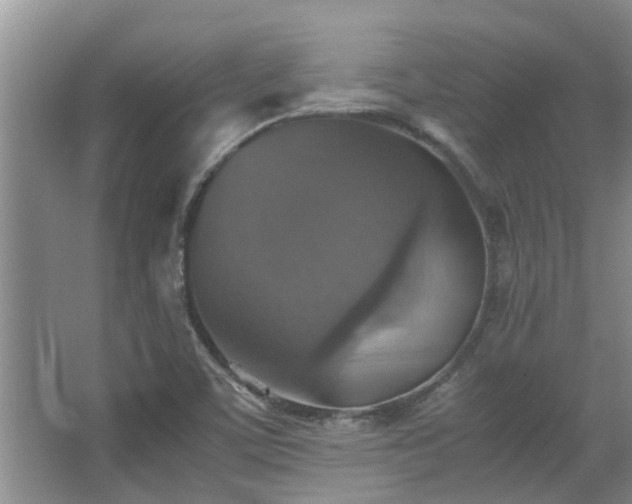 X0000067891459200604131316