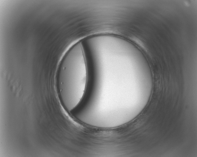 X0000067891468200604131316