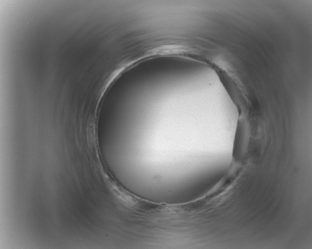 X0000067891473200604131315